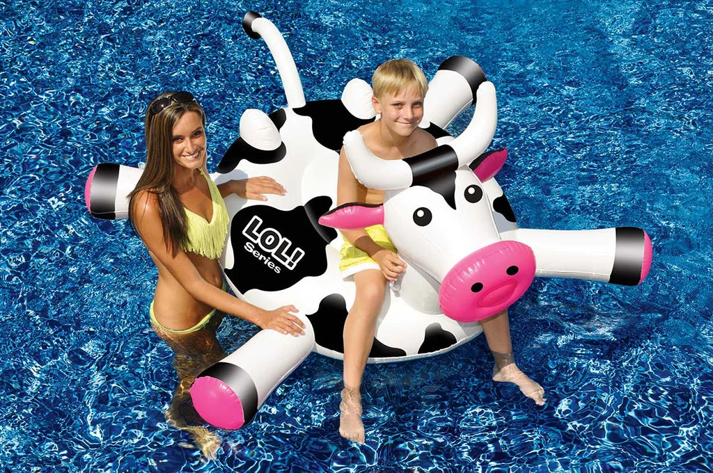 Black/White 2-Person Inflatable Swimming Pool Float B566