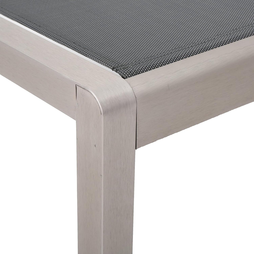 Outdoor Mesh Chaise Lounges, 2-Pcs Set, Dark Grey / Silver T8593