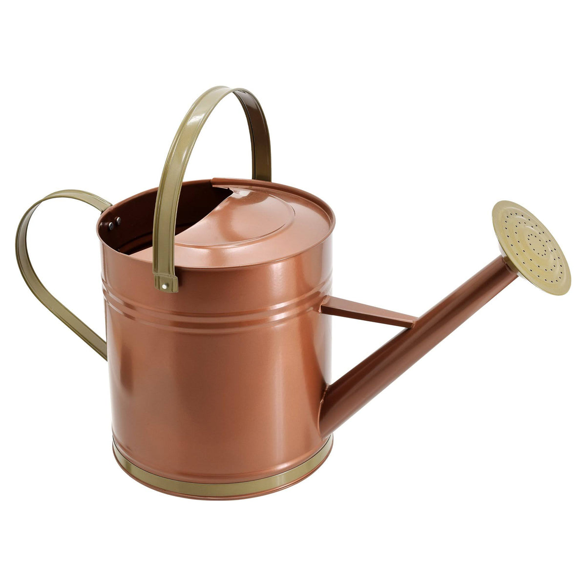 Bronze Metal Watering Can U983018