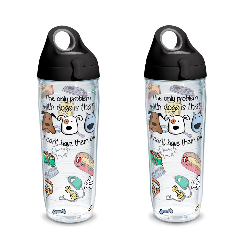 24 oz Water Bottle with Lid, 2 Pack O427714