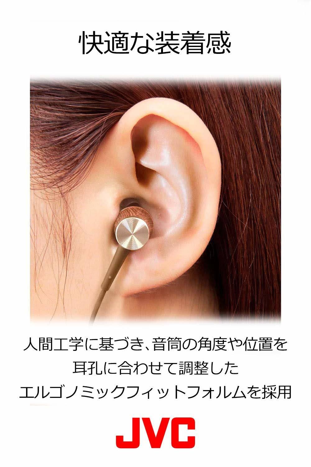 Brown Canal Type Earphone F78107