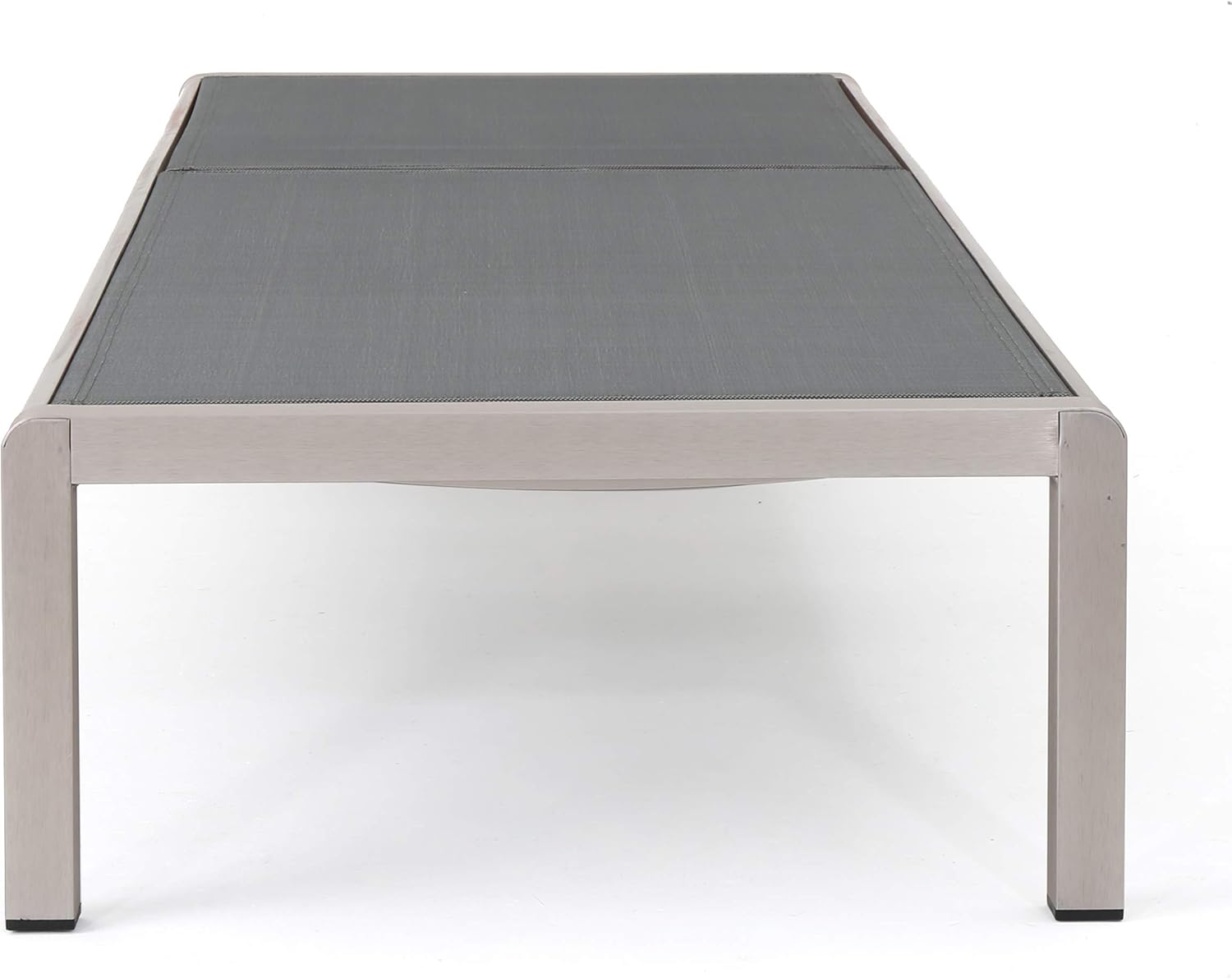 Outdoor Mesh Chaise Lounges, 2-Pcs Set, Dark Grey / Silver T8593