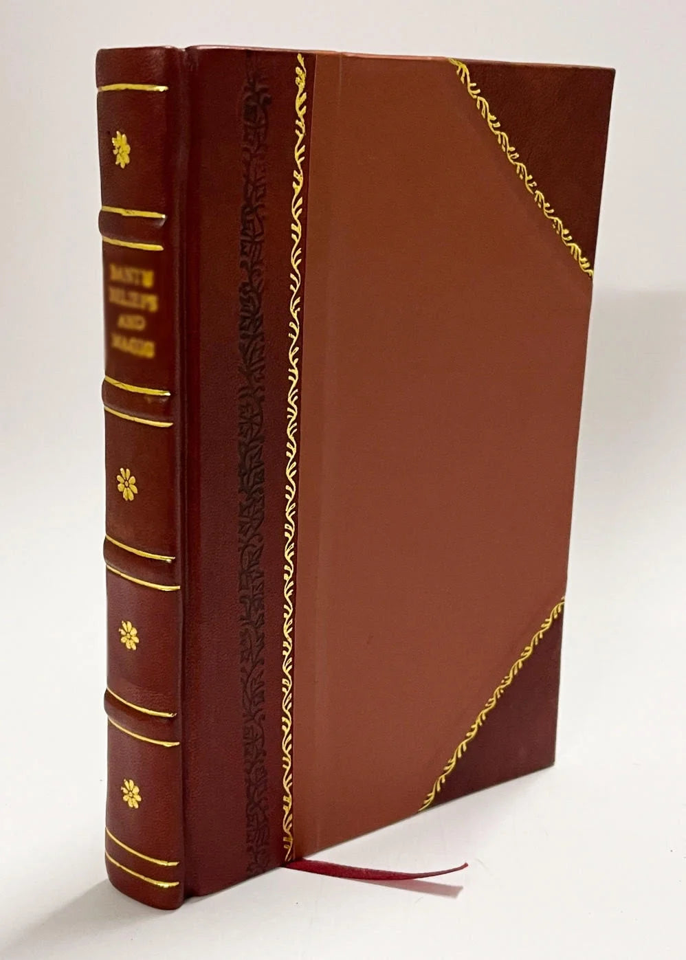 Leather Bound Book Z246