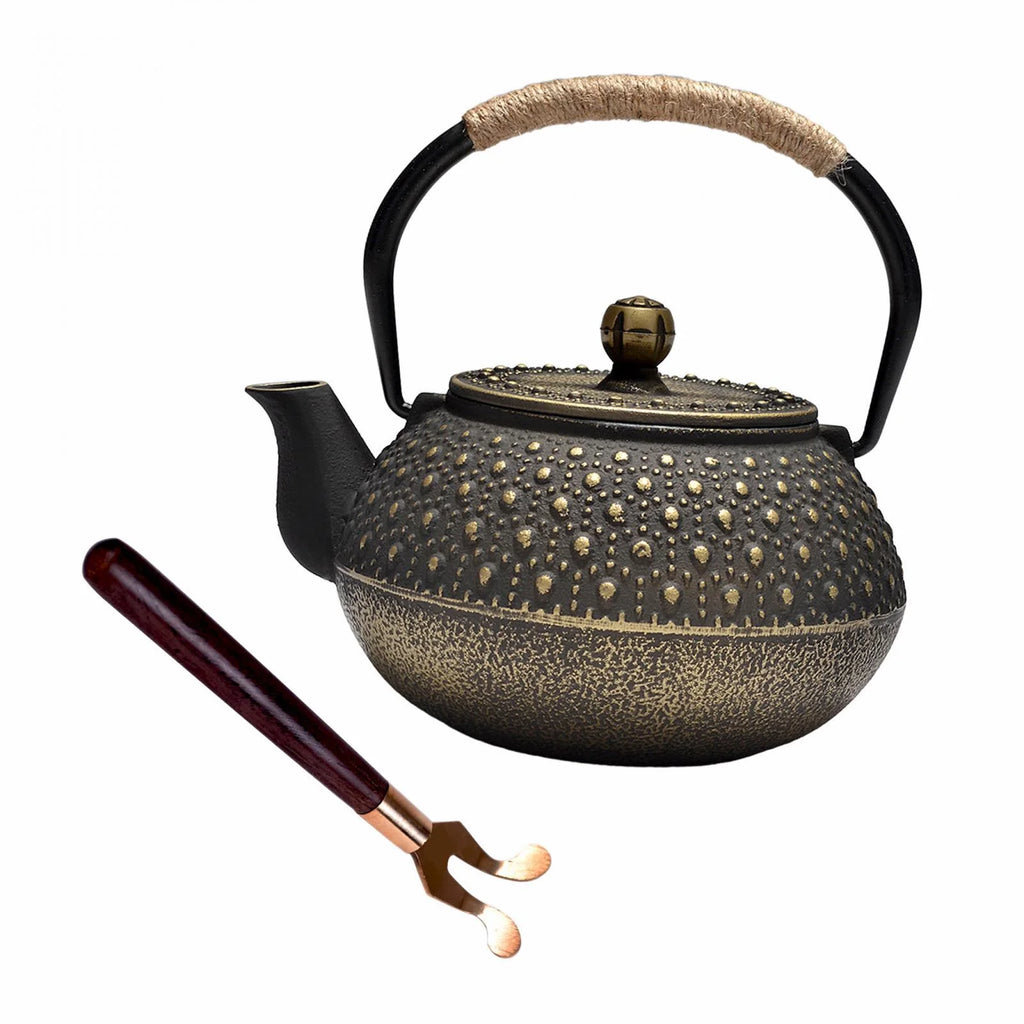 Cast Iron Teapot Farmhouse Tea Kettle C43508