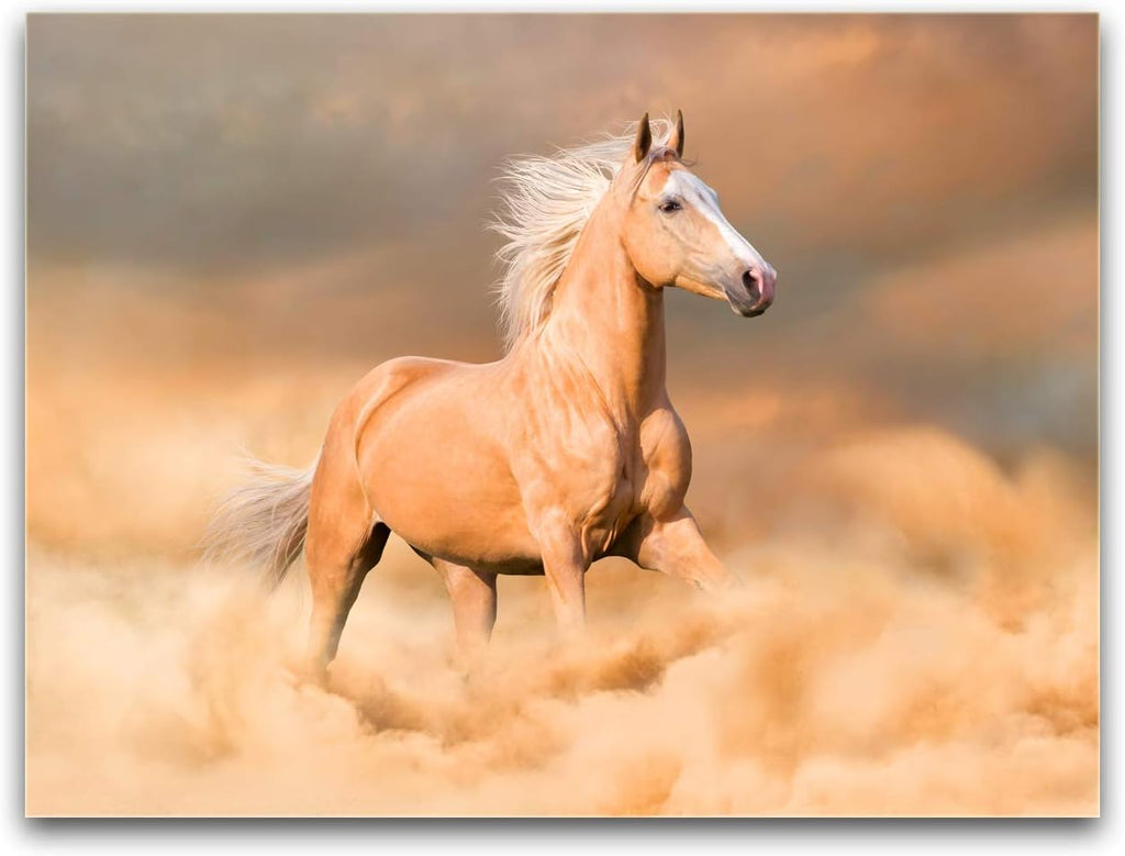 12x16 inches Framed Canvas Print Wall Decor Y45740
