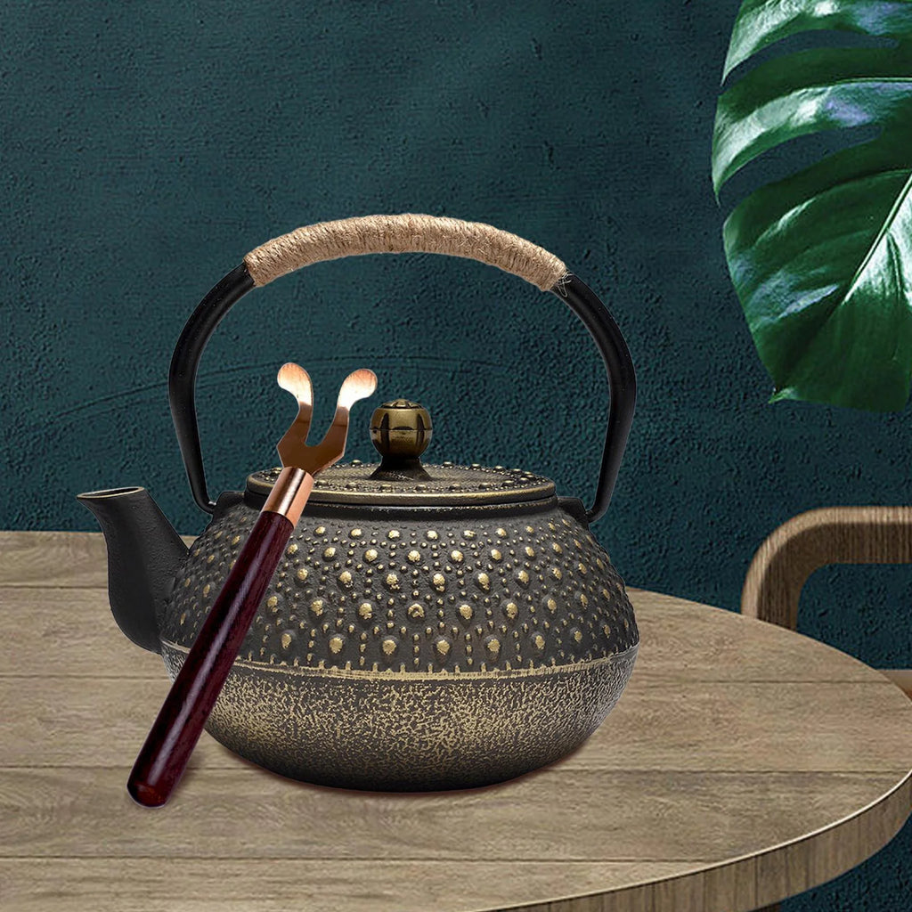 Cast Iron Teapot Farmhouse Tea Kettle C43508