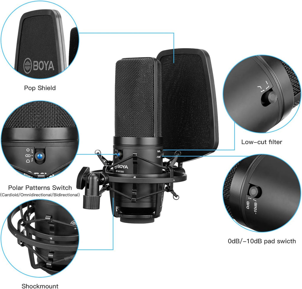 Large Diaphragm Multi-Pattern Studio Condenser Microphone with Shock Mount, Pop Filter, and XLR Cable Pack of 2 X70285