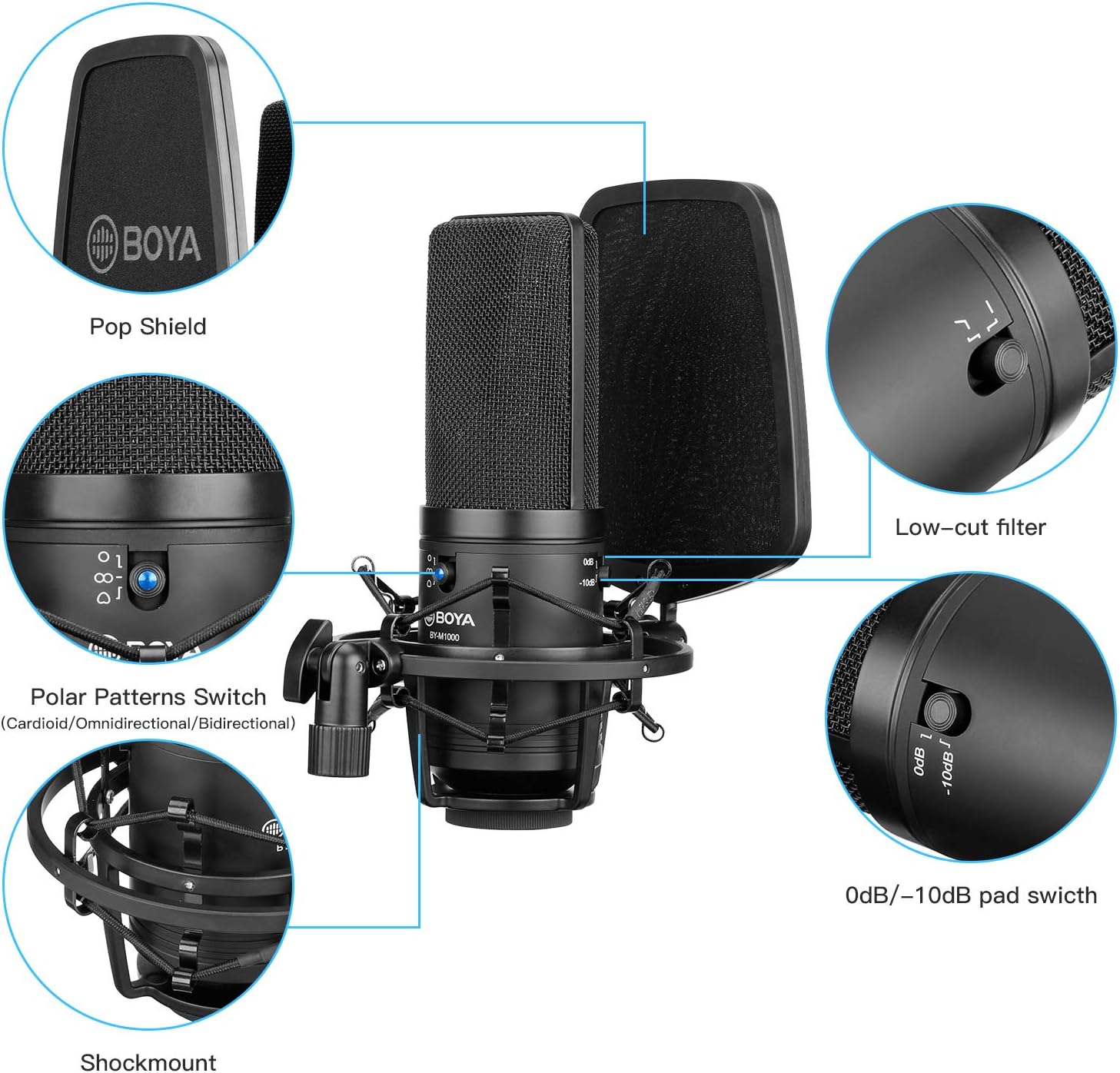 Large Diaphragm Multi-Pattern Studio Condenser Microphone with Shock Mount, Pop Filter, and XLR Cable Pack of 2 X70285