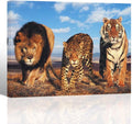 12x16 inches Framed Canvas Print Wall Decor Y45740