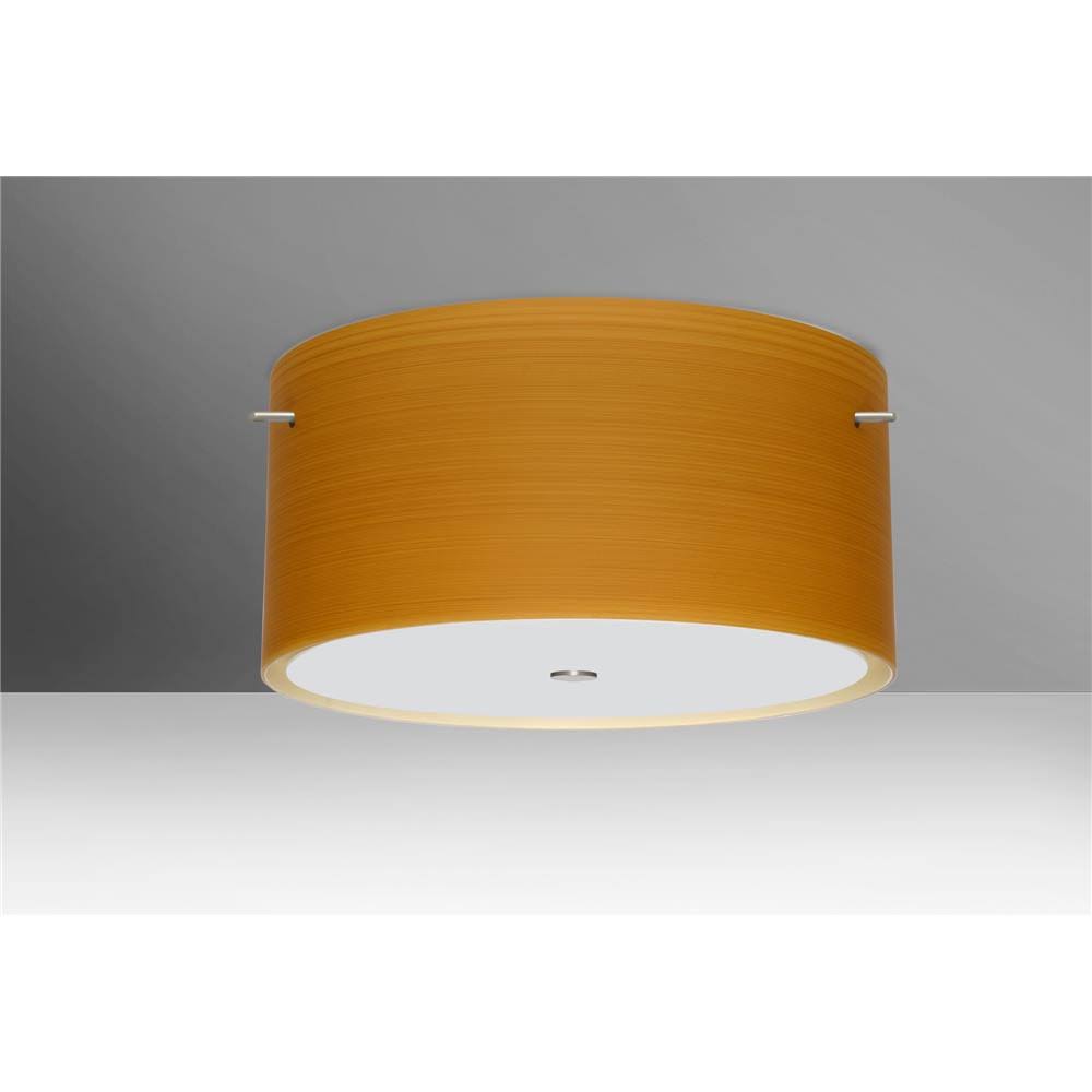 Satin Nickel Flush Mount Light Z671