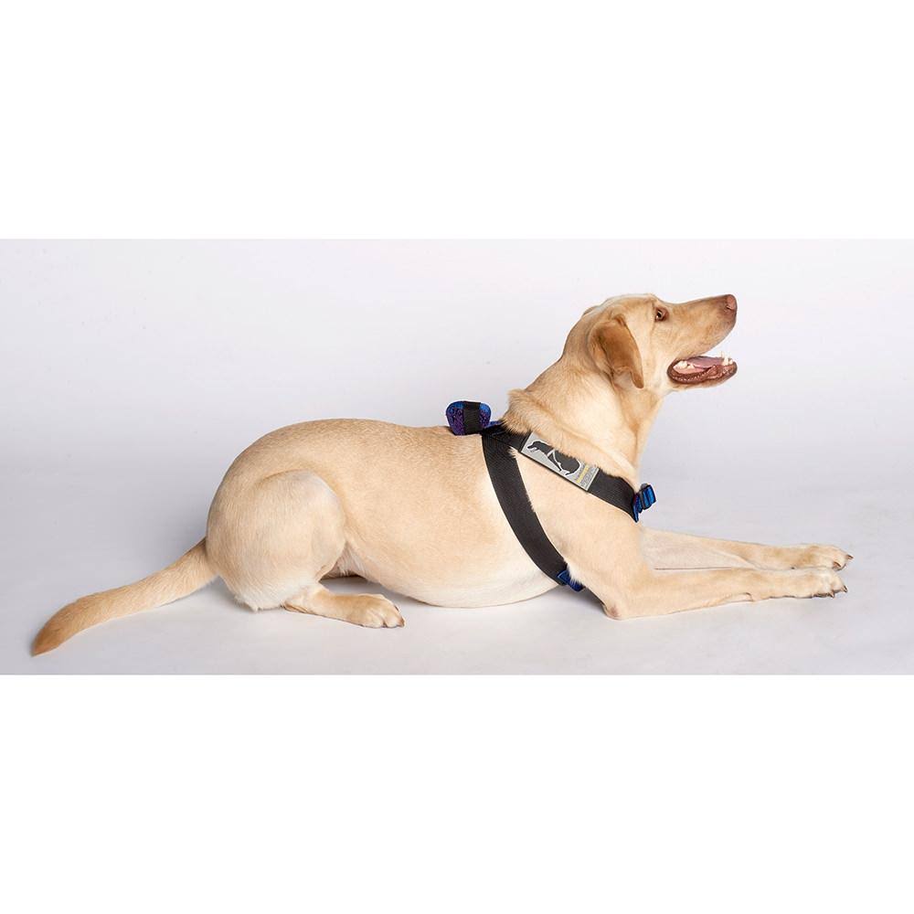 Pink Travel Safe Harness G57804