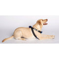 Pink Travel Safe Harness G57804