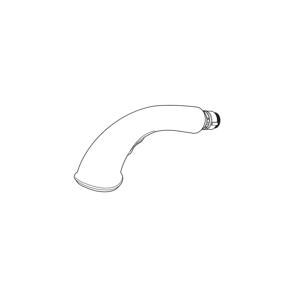 Chrome Pull-Out Wand Assembly D79431
