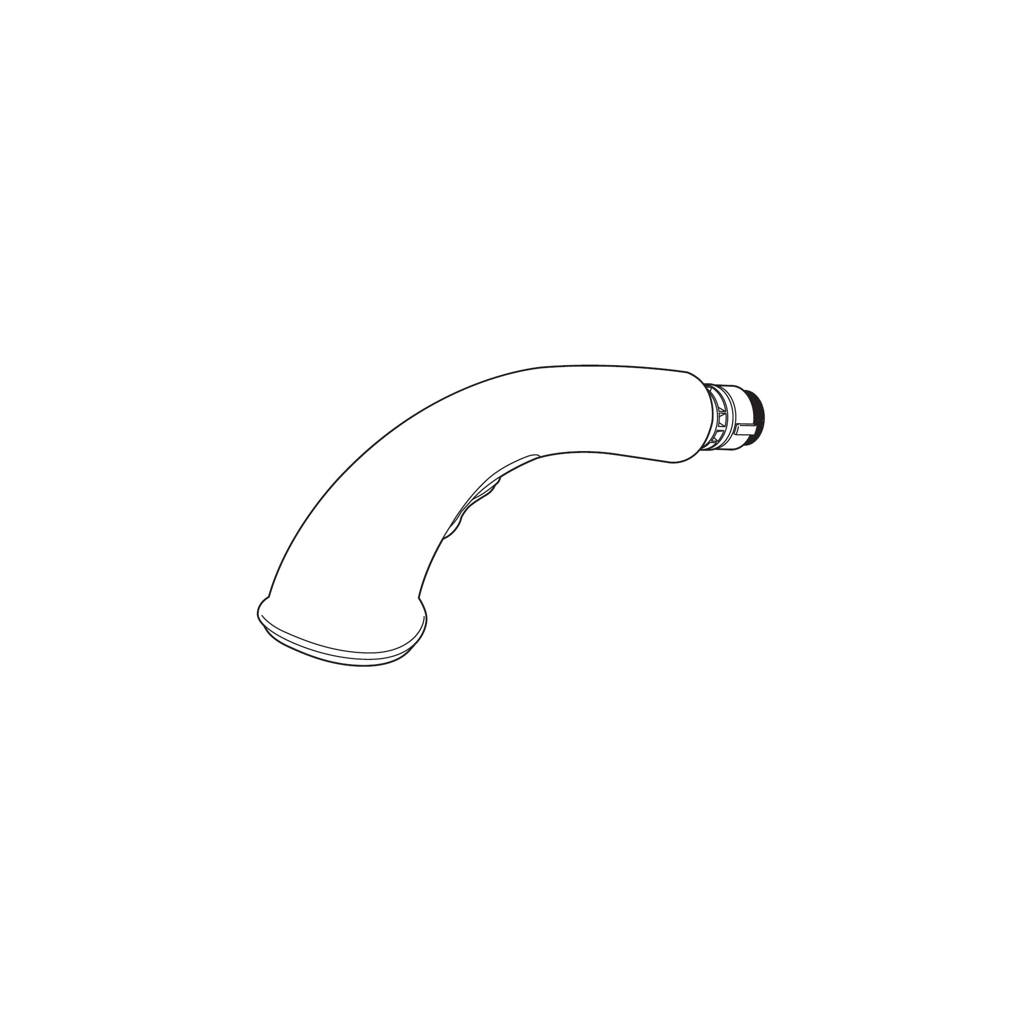 Chrome Pull-Out Wand Assembly D79431