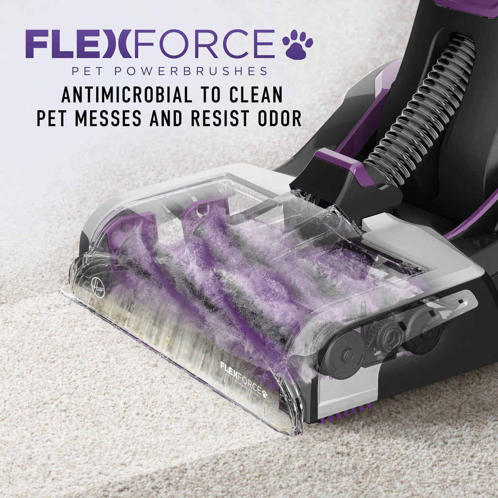 Purple Automatic Carpet Cleaner Z22390