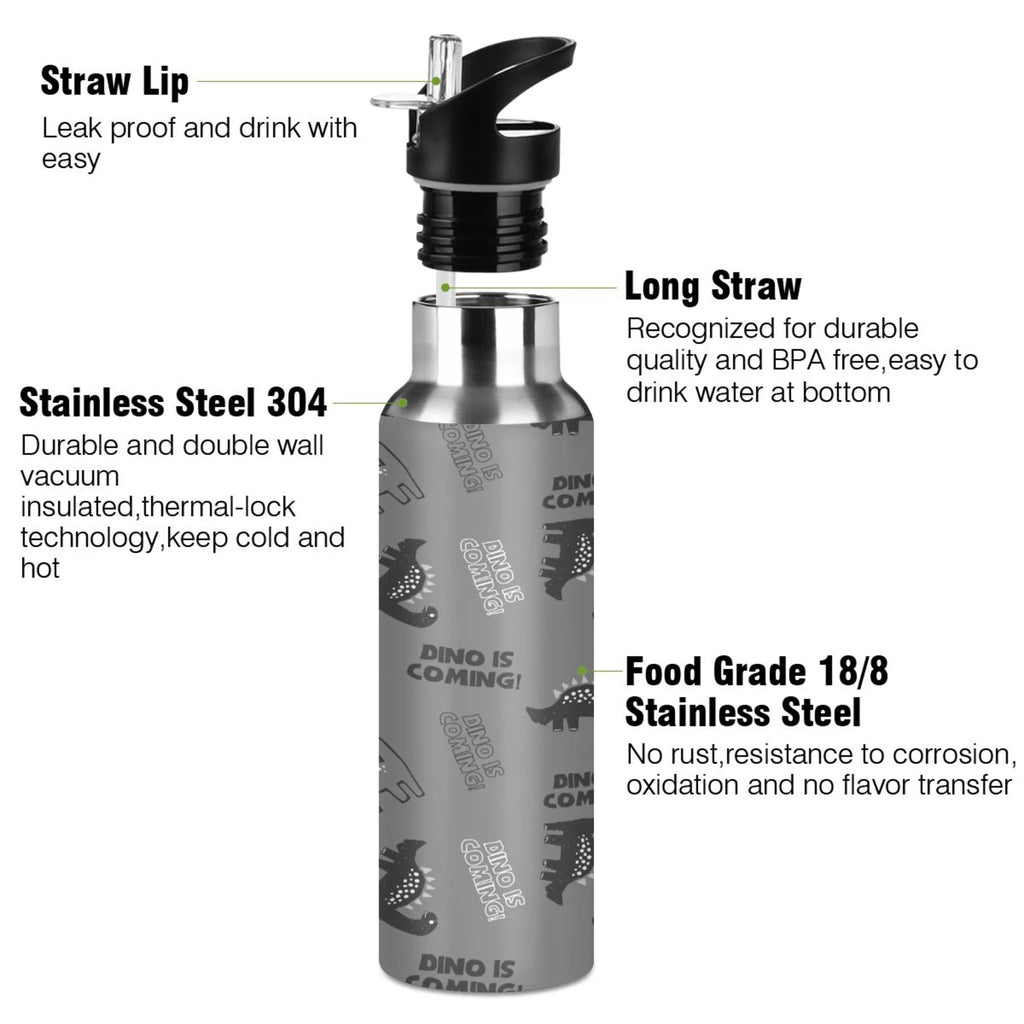 Gray Dinosaur Stainless Steel Insulated Water Bottle with Straw Lid V914