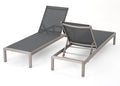Outdoor Mesh Chaise Lounges, 2-Pcs Set, Dark Grey / Silver T8593