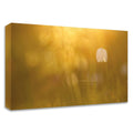 Golden Print on Canvas N15915