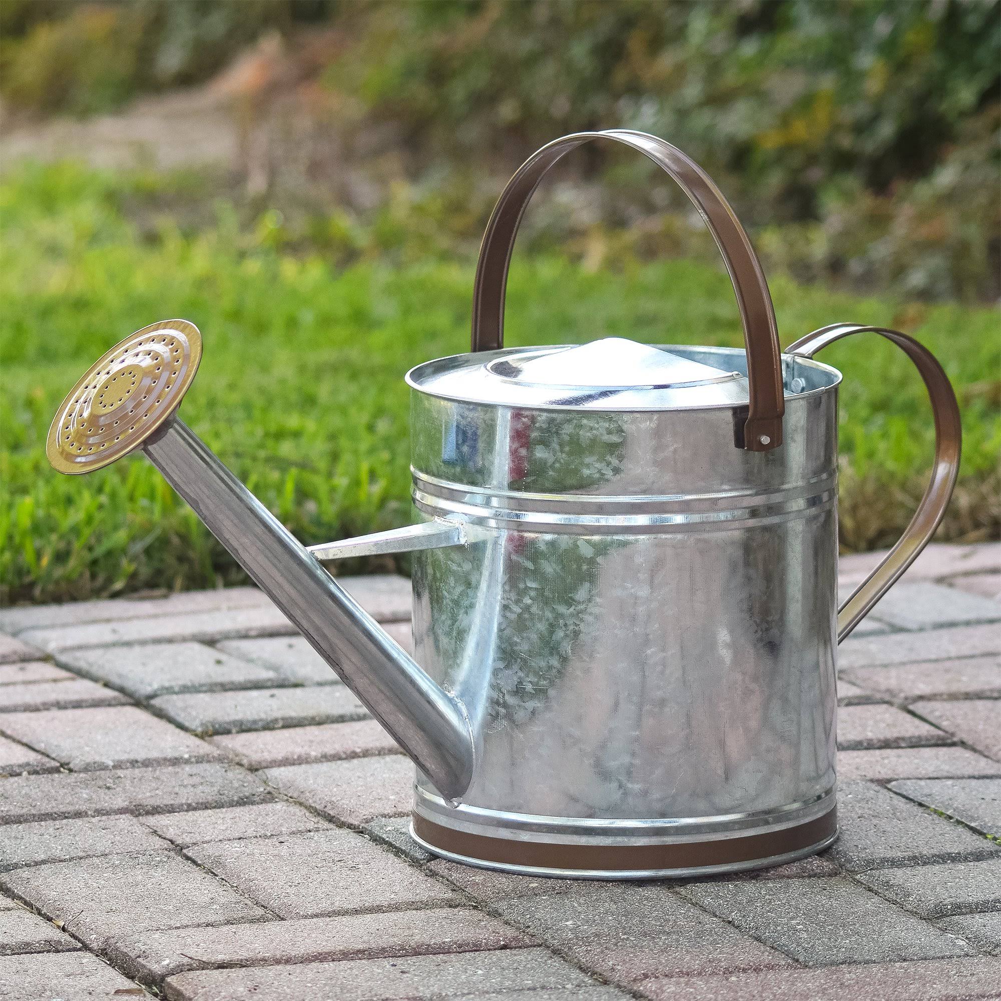 Bronze Metal Watering Can U983018
