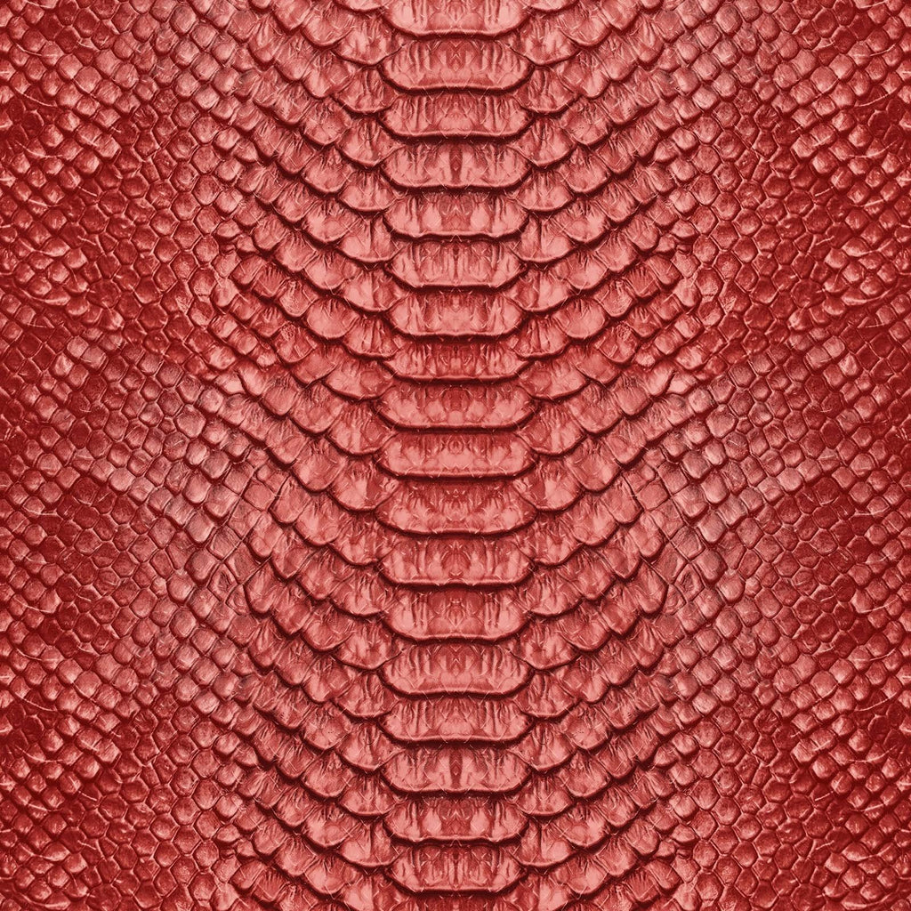 Red Snake Print Canvas Room Divider W1170