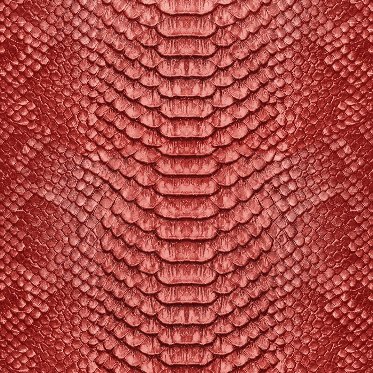 Red Snake Print Canvas Room Divider W1170