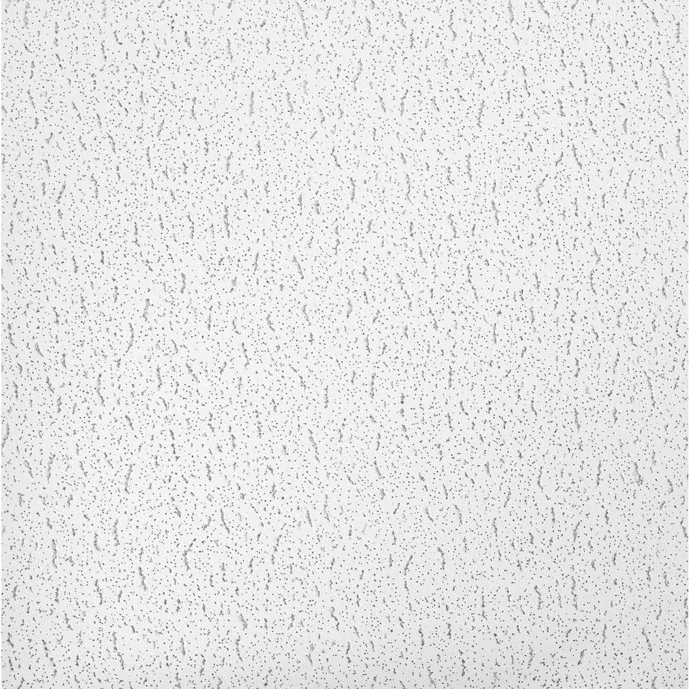Textured 2 ft. x 2 ft. Lay-In Ceiling Panel, White, Case of 16 B953