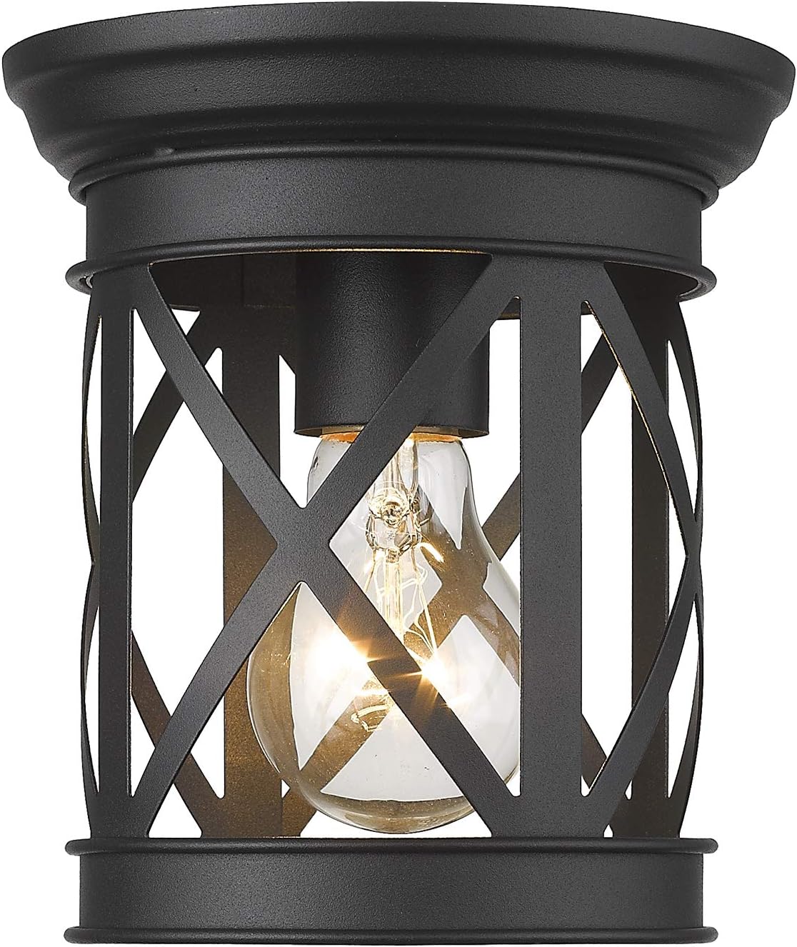 Black Metal Cage Flush Mount Ceiling Light T238230