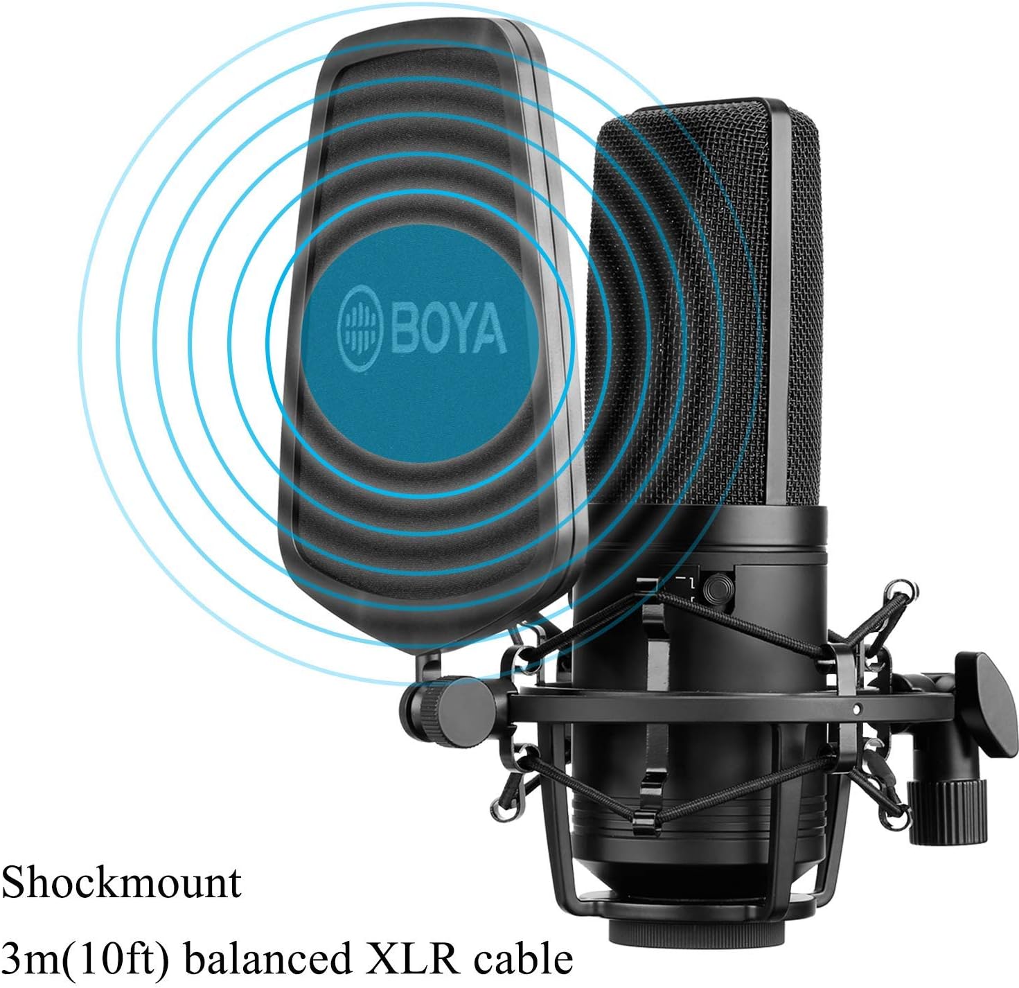 Large Diaphragm Multi-Pattern Studio Condenser Microphone with Shock Mount, Pop Filter, and XLR Cable Pack of 2 X70285