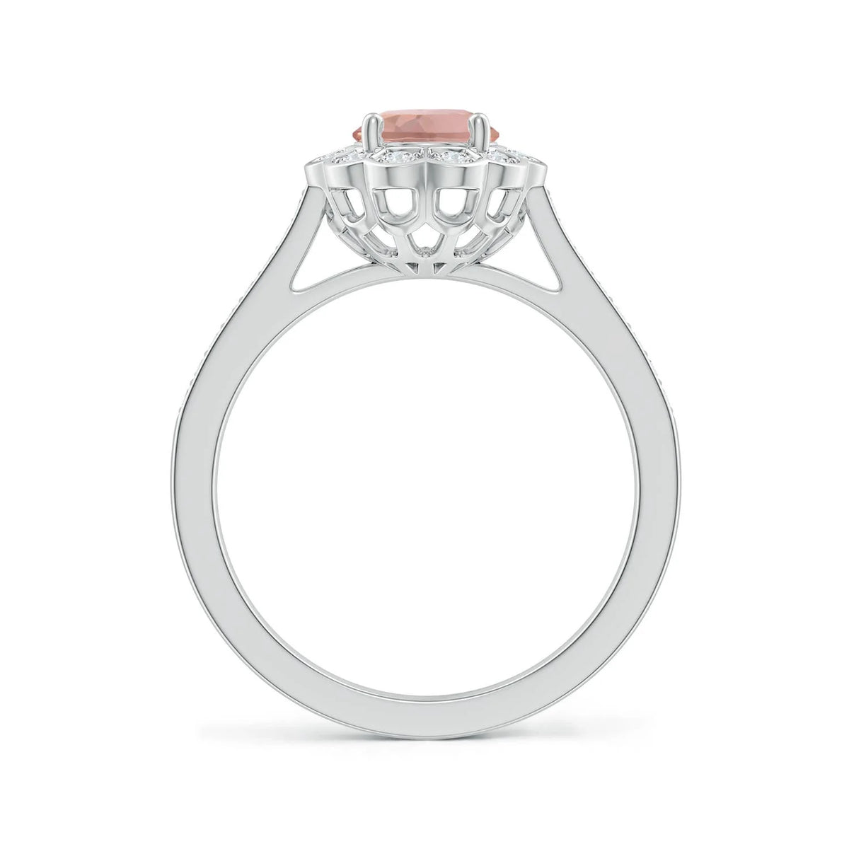Natural Morganite Diamond Halo Ring in Platinum, Size 10.5 S73630