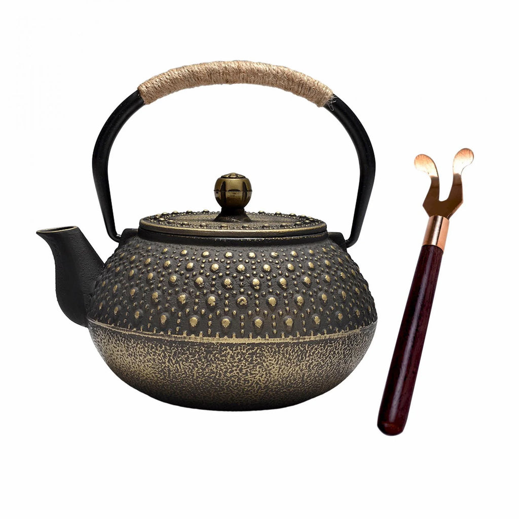 Cast Iron Teapot Farmhouse Tea Kettle C43508