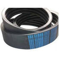 1/2 x 95in Banded Belt E596