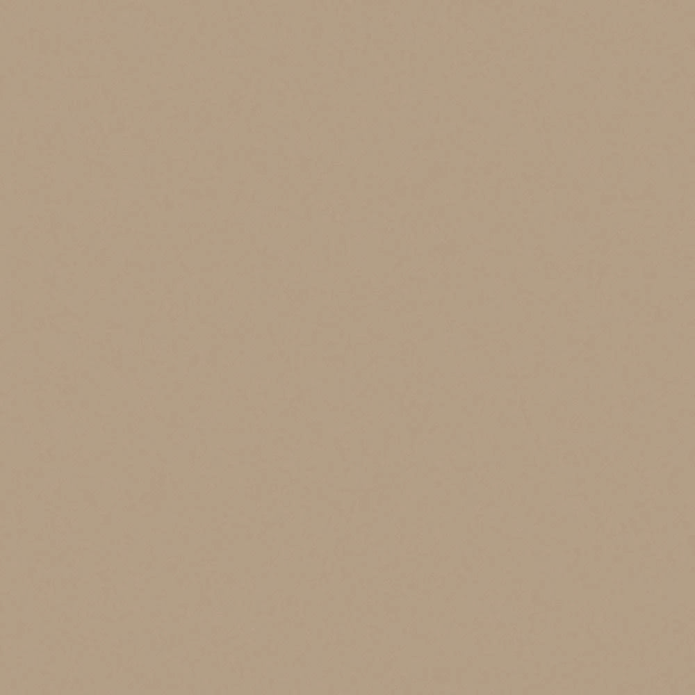 Khaki Brown Matte Finish 4 ft. x 8 ft. Vertical Grade Laminate Sheet B3871