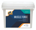 Muscle Force R27739