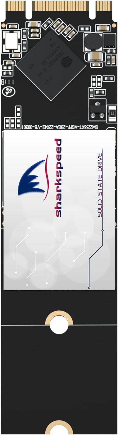 M.2 2280 1TB SATA III Internal Solid State Drive Y315