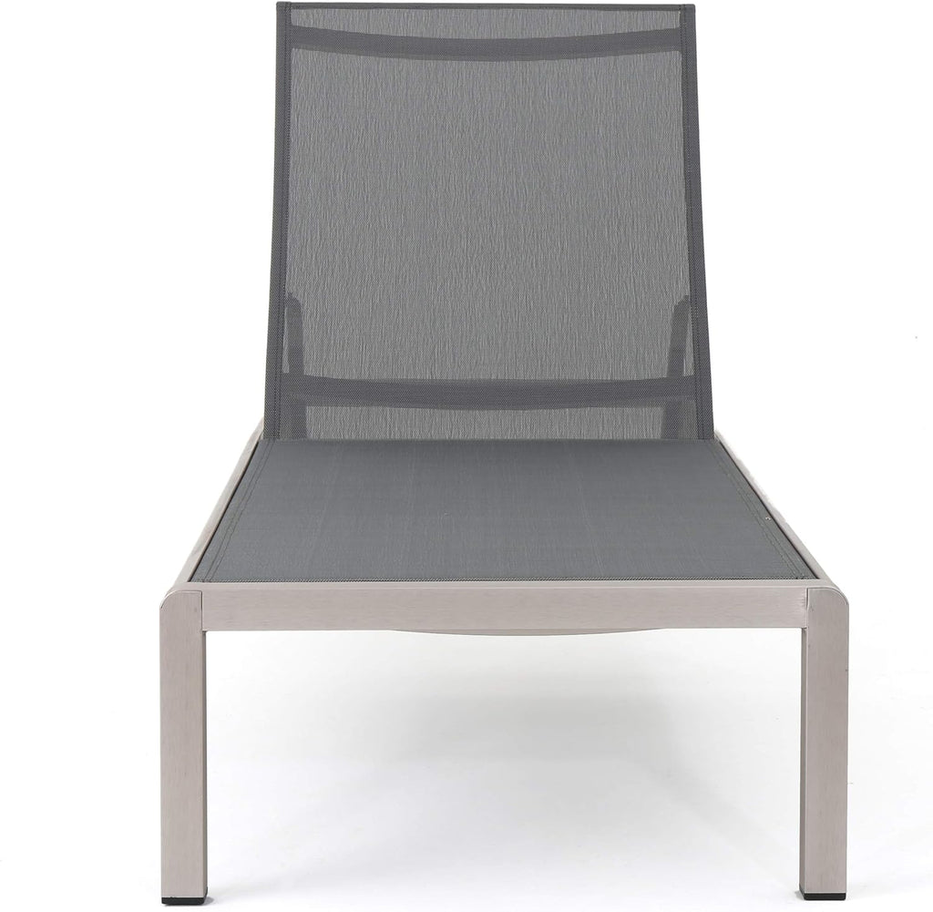 Outdoor Mesh Chaise Lounges, 2-Pcs Set, Dark Grey / Silver T8593