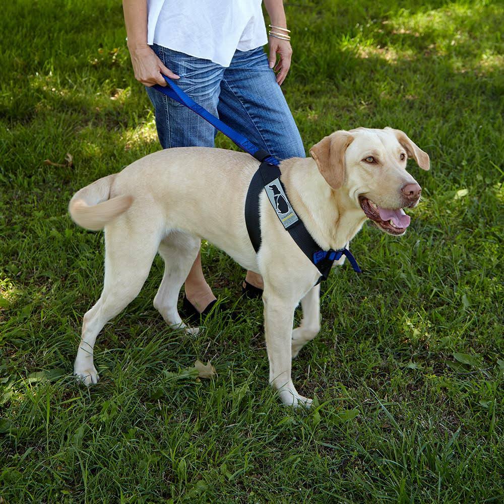 Pink Travel Safe Harness G57804