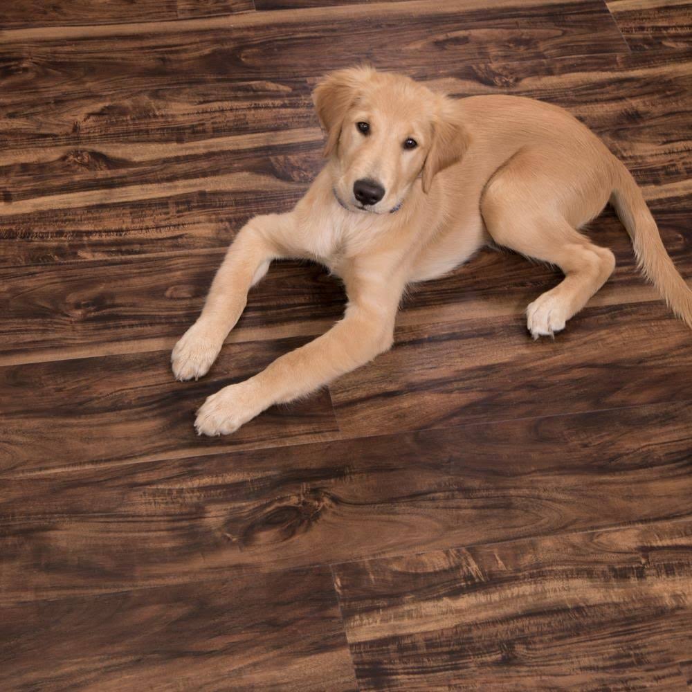Walnut Creek Waterproof Luxury Vinyl Plank Flooring (23.77 Sq. ft) Z177