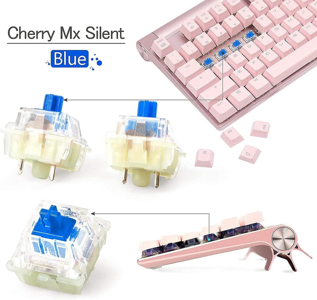 Cherry RGB Mechanical Keyboard Switch 65 PCS L539952