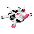 Black/White 2-Person Inflatable Swimming Pool Float B566