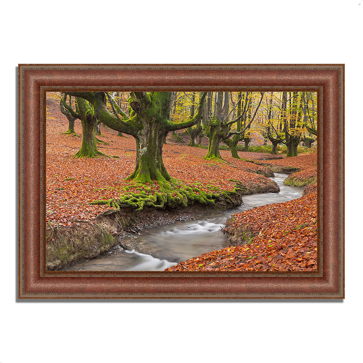 Beech Framed Photograph Print O137