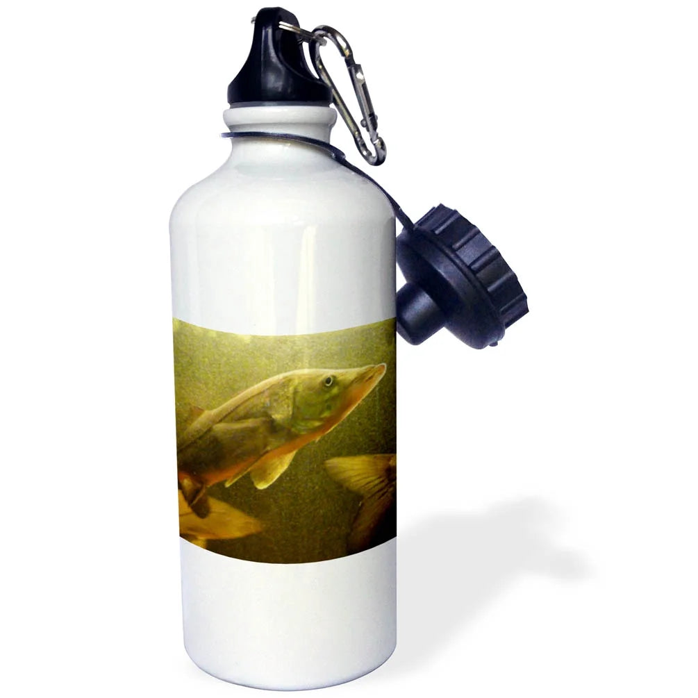 21 oz Sports Water Bottle O206