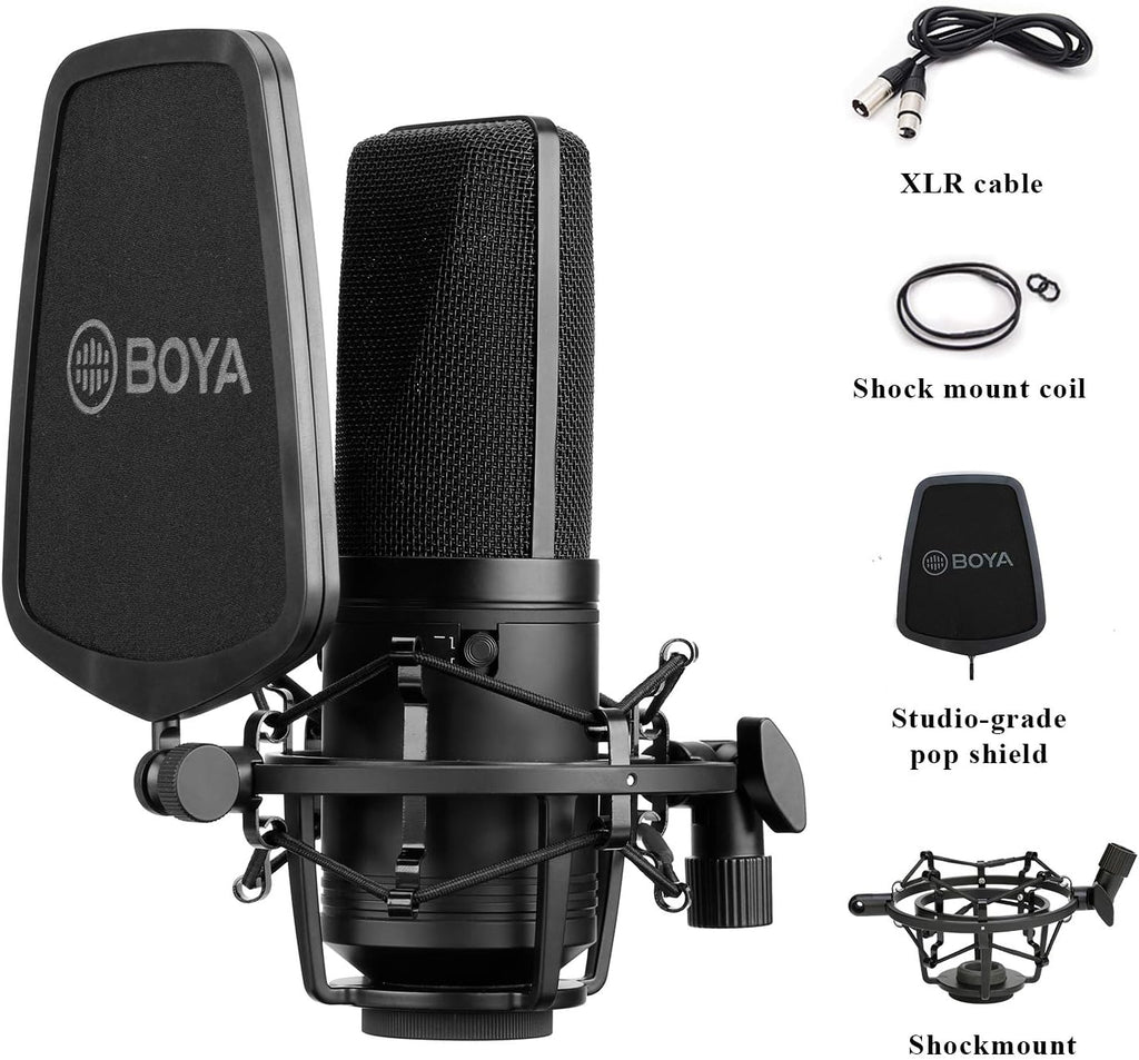 Large Diaphragm Multi-Pattern Studio Condenser Microphone with Shock Mount, Pop Filter, and XLR Cable Pack of 2 X70285