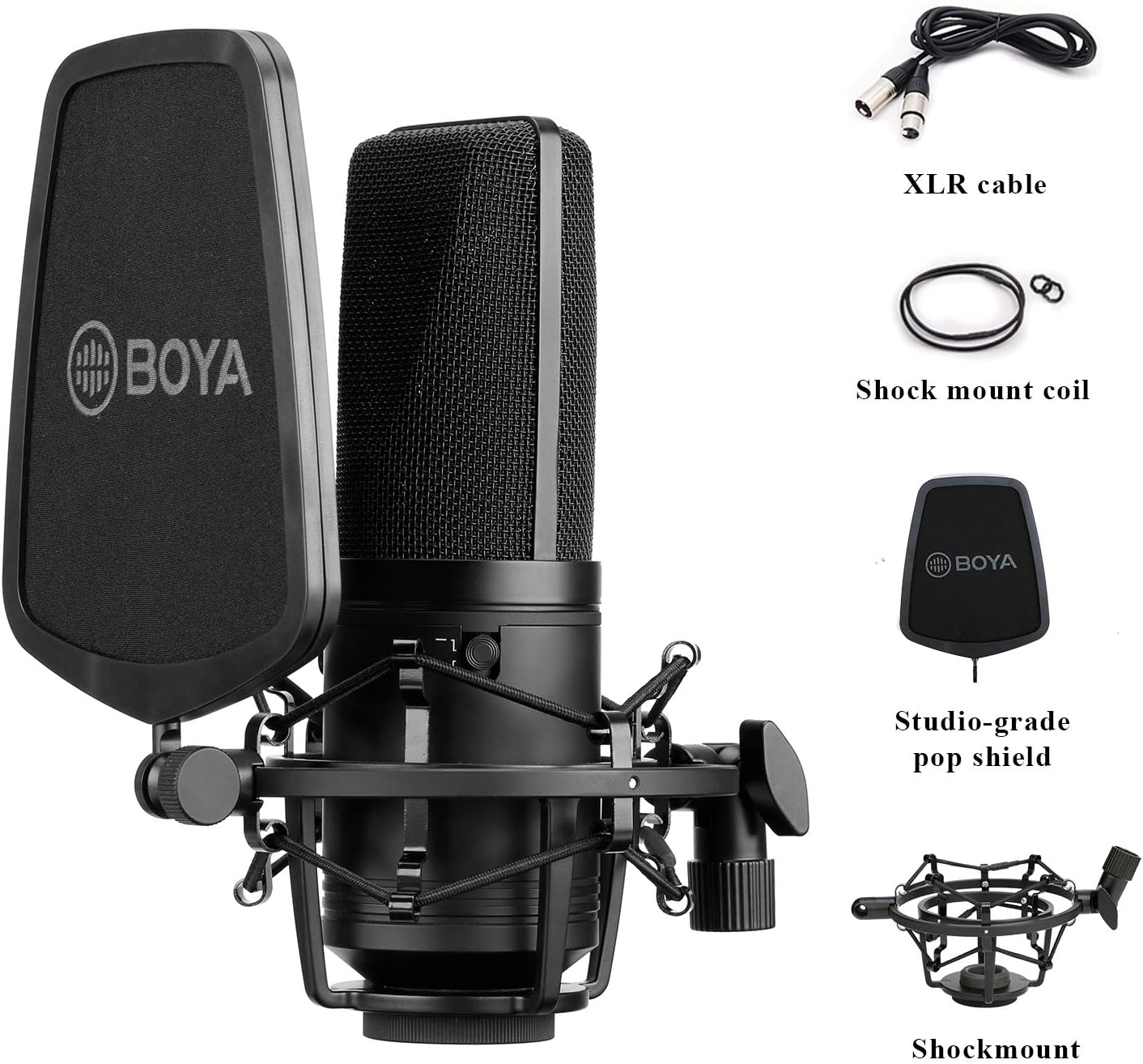 Large Diaphragm Multi-Pattern Studio Condenser Microphone with Shock Mount, Pop Filter, and XLR Cable Pack of 2 X70285