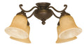 4 Light Universal Fan Light Kit with Tea-Stained Glass, Oiled Bronze D988750