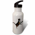 21 oz Sports Water Bottle J50697