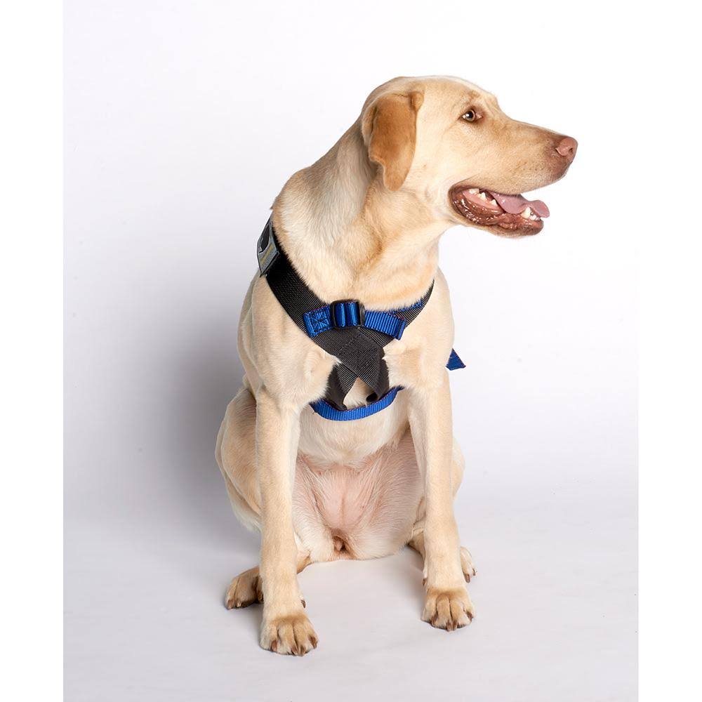 Pink Travel Safe Harness G57804