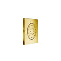 Satin Gold Shower Jet L4523