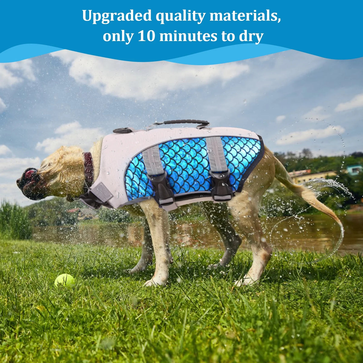 Dog Life Jacket with Rescue Handle D572882
