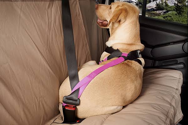 Pink Travel Safe Harness G57804