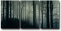 Three Piece Canvas Art, 24x36 Inches M5484